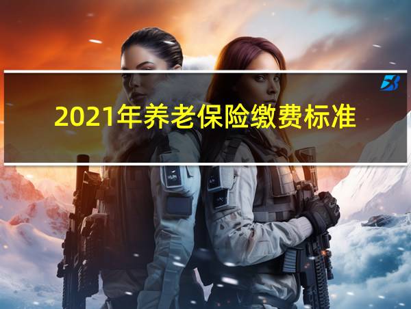 2021年养老保险缴费标准的相关图片