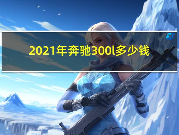 2021年奔驰300l多少钱的相关图片