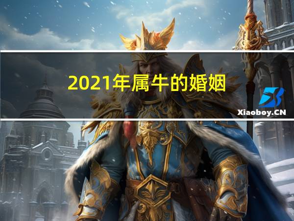 2021年属牛的婚姻的相关图片