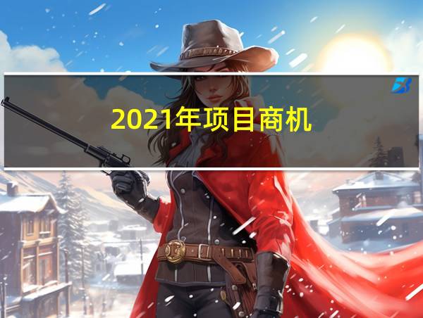 2021年项目商机的相关图片