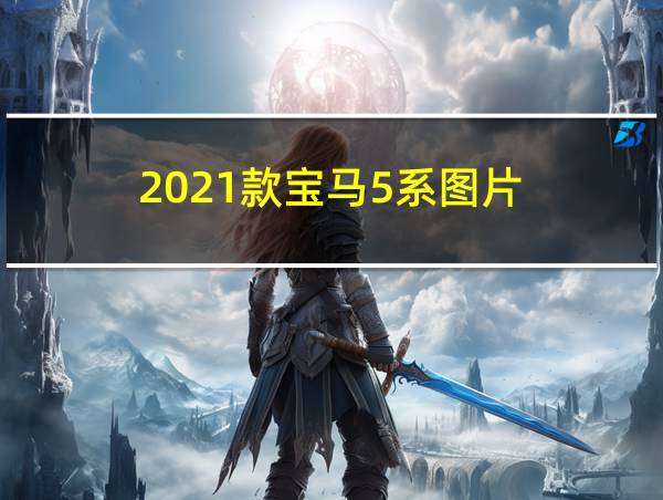 2021款宝马5系图片的相关图片