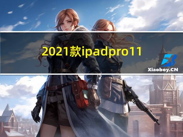 2021款ipadpro11寸参数的相关图片