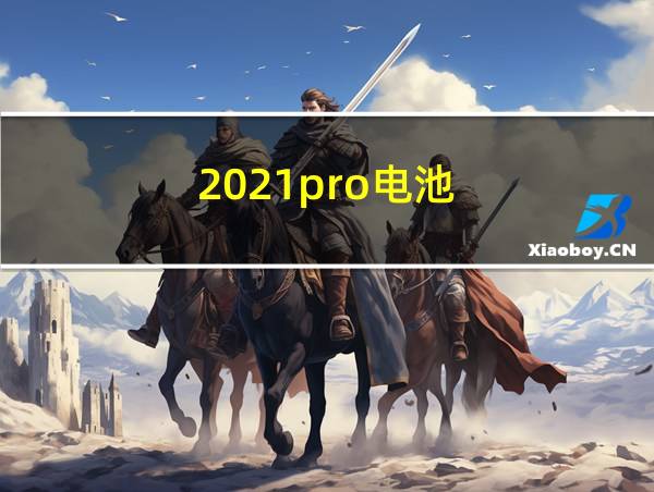 2021pro电池的相关图片