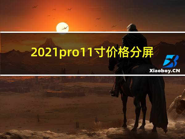 2021pro11寸价格分屏的相关图片