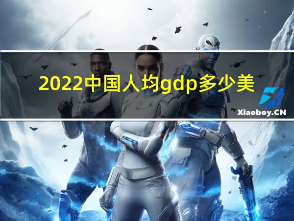 2022中国人均gdp多少美元的相关图片