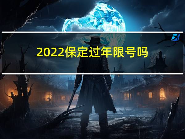 2022保定过年限号吗