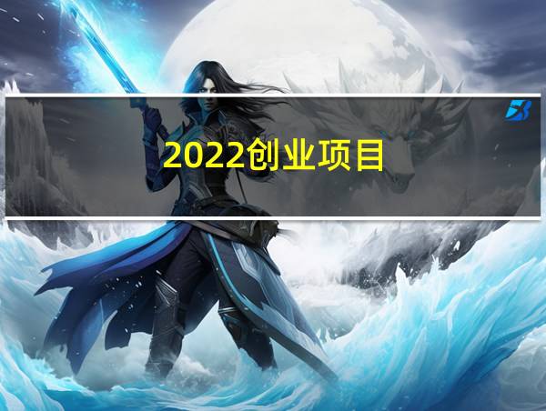 2022创业项目的相关图片