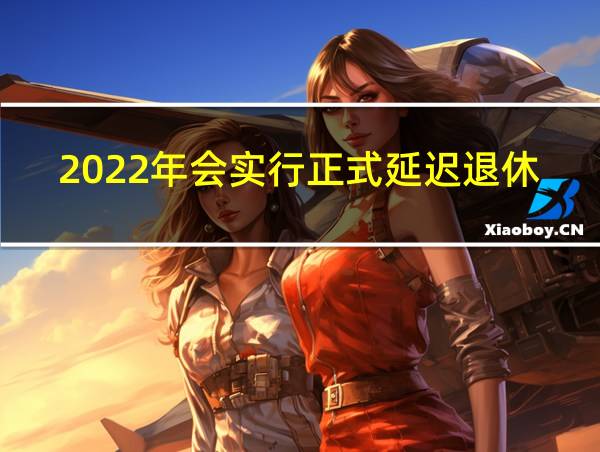 2022年会实行正式延迟退休吗的相关图片