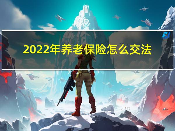 2022年养老保险怎么交法的相关图片