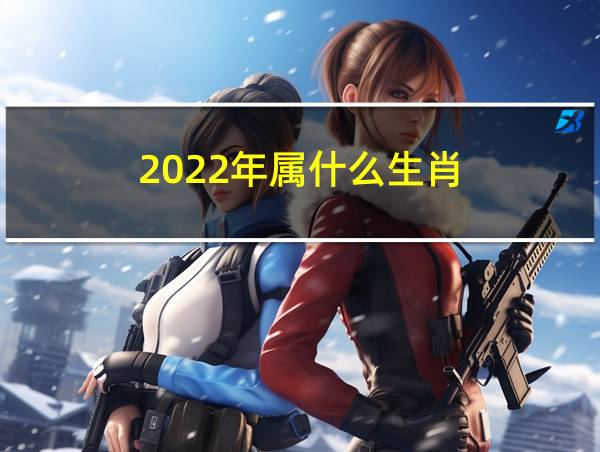 2022年属什么生肖的相关图片