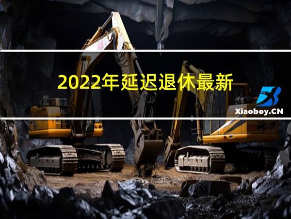 2022年延迟退休最新的相关图片