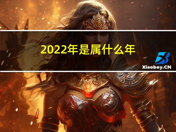 2022年是属什么年的相关图片