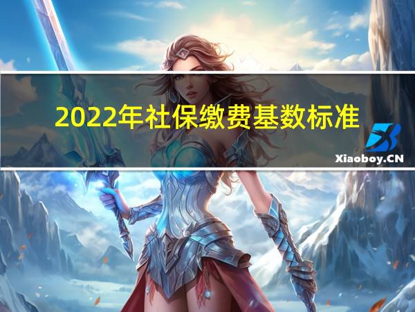 2022年社保缴费基数标准的相关图片