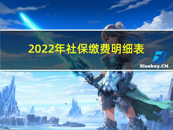 2022年社保缴费明细表的相关图片