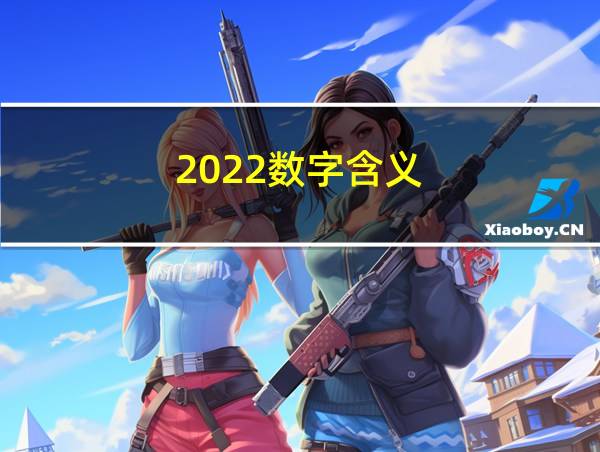 2022数字含义的相关图片