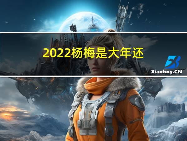 2022杨梅是大年还