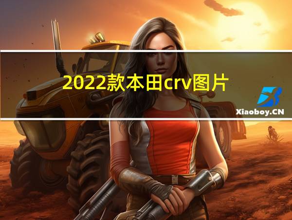 2022款本田crv图片的相关图片