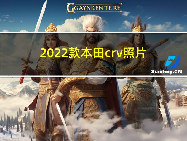 2022款本田crv照片的相关图片