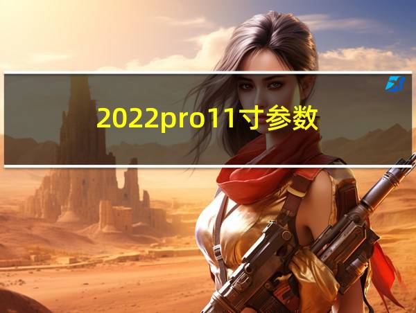 2022pro11寸参数的相关图片