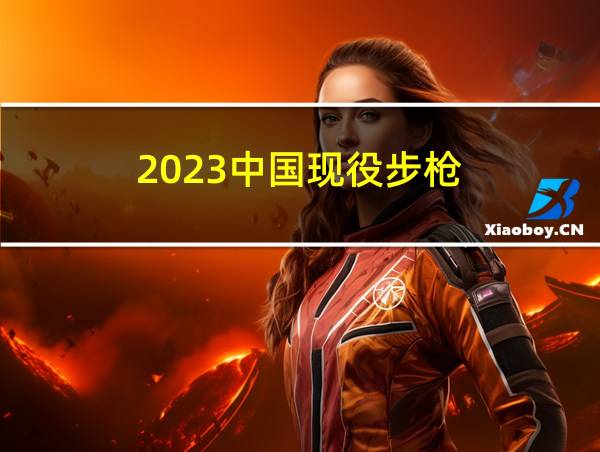 2023中国现役步枪的相关图片