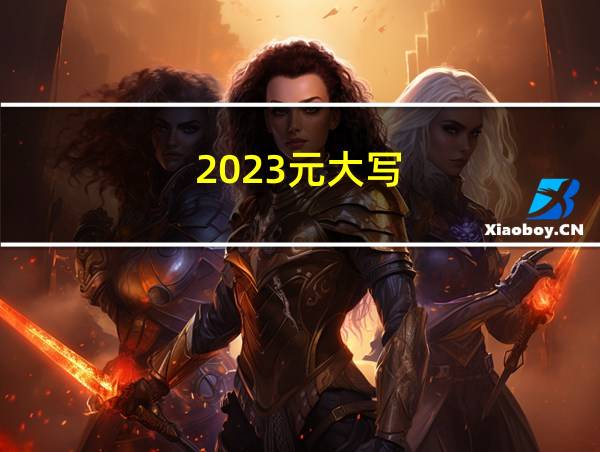 2023元大写的相关图片