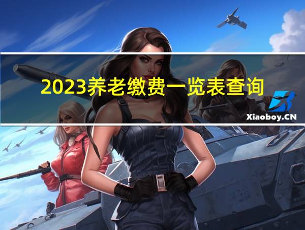 2023养老缴费一览表查询的相关图片