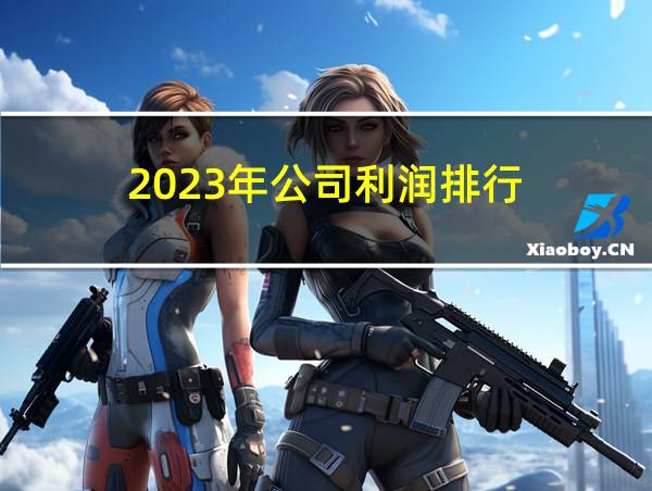 2023年公司利润排行的相关图片