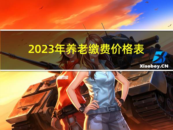 2023年养老缴费价格表的相关图片