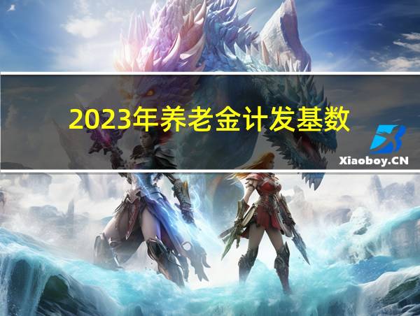 2023年养老金计发基数的相关图片