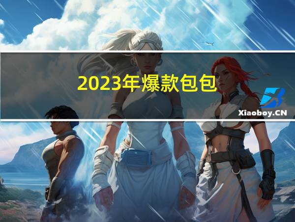 2023年爆款包包的相关图片