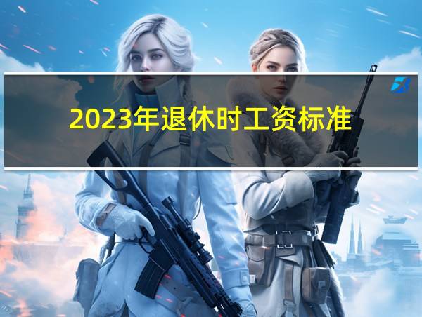 2023年退休时工资标准的相关图片