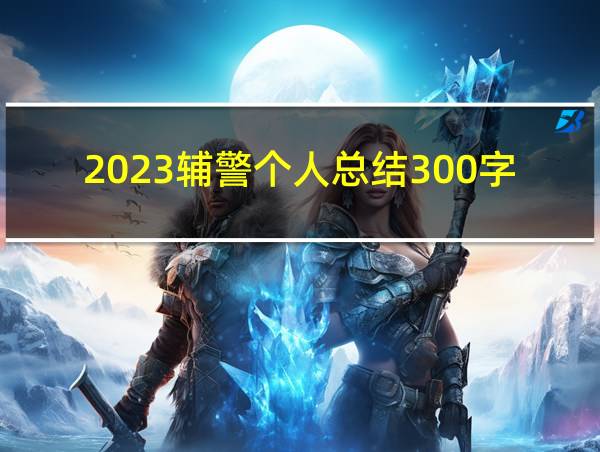 2023辅警个人总结300字的相关图片