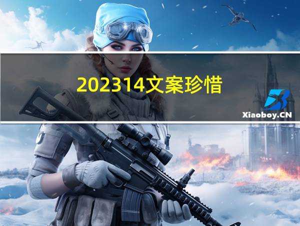 202314文案珍惜的相关图片