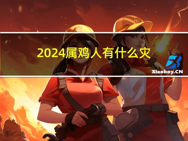 2024属鸡人有什么灾的相关图片