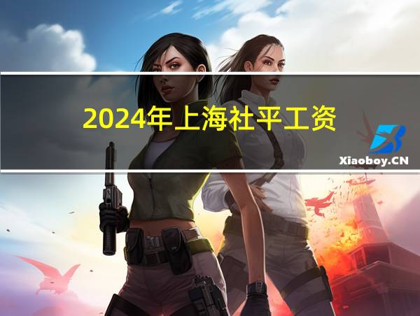 2024年上海社平工资的相关图片