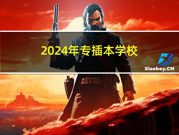 2024年专插本学校的相关图片