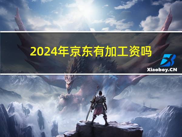 2024年京东有加工资吗的相关图片