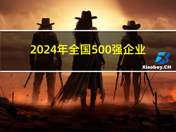 2024年全国500强企业的相关图片