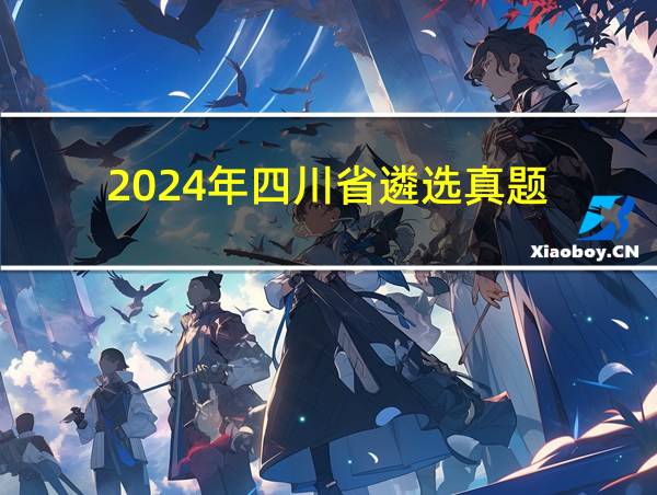 2024年四川省遴选真题的相关图片