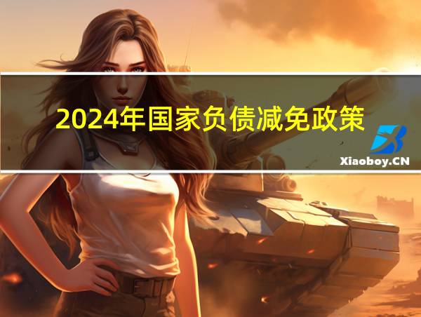 2024年国家负债减免政策的相关图片