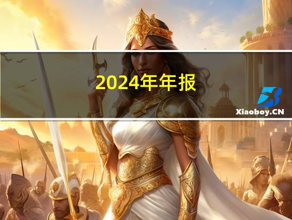 2024年年报的相关图片