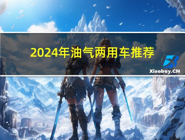 2024年油气两用车推荐的相关图片