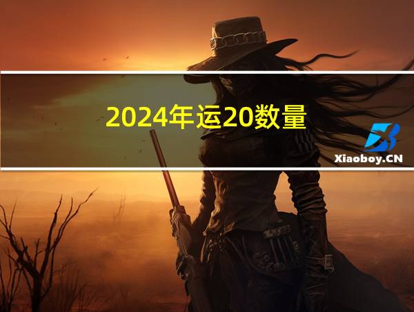 2024年运20数量的相关图片