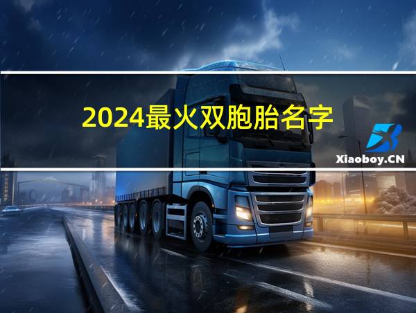 2024最火双胞胎名字的相关图片