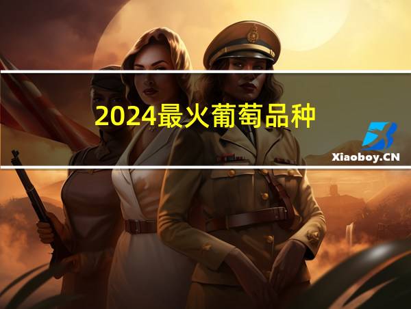 2024最火葡萄品种的相关图片