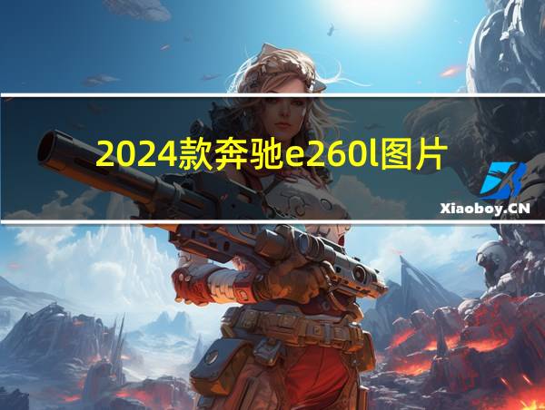 2024款奔驰e260l图片的相关图片