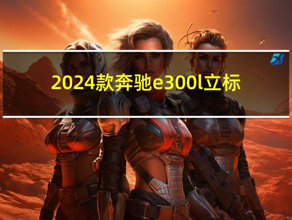 2024款奔驰e300l立标的相关图片