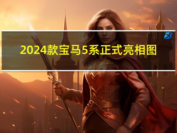 2024款宝马5系正式亮相图片的相关图片