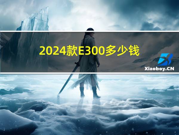 2024款E300多少钱的相关图片