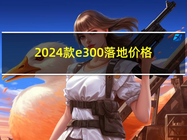 2024款e300落地价格的相关图片